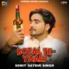 About Botal Te Yaari Song